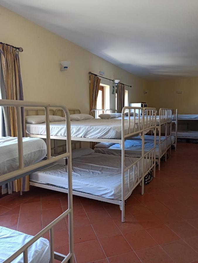 Albergue De Sos Del Rey Catolico Bagian luar foto