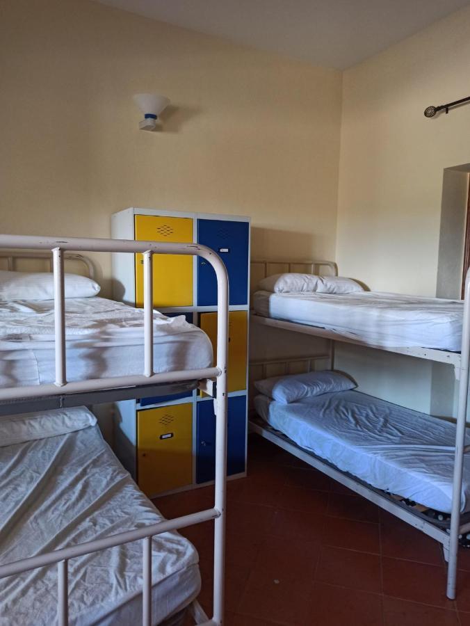 Albergue De Sos Del Rey Catolico Bagian luar foto